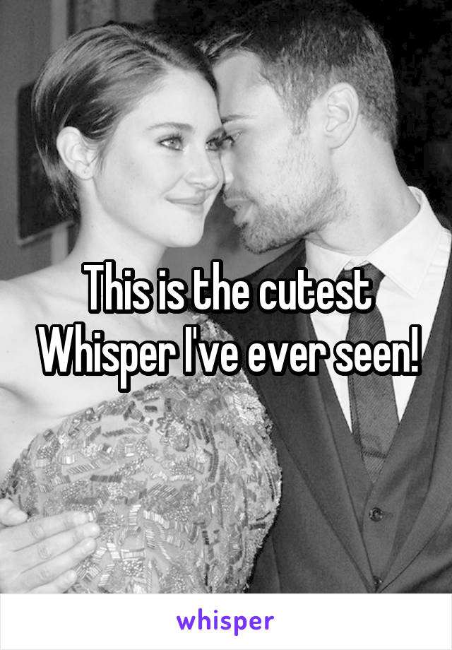 This is the cutest Whisper I've ever seen!