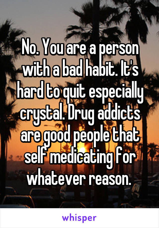 No. You are a person with a bad habit. It's hard to quit especially crystal. Drug addicts are good people that self medicating for whatever reason. 