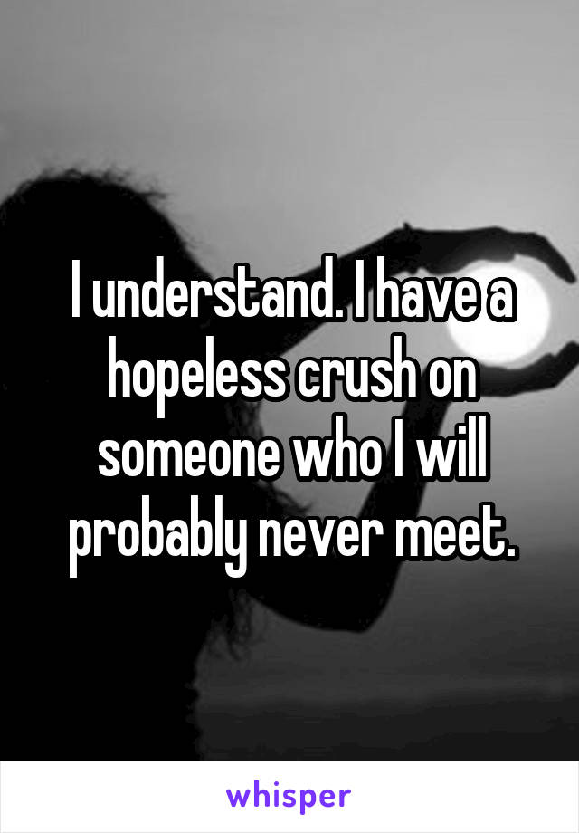 I understand. I have a hopeless crush on someone who I will probably never meet.