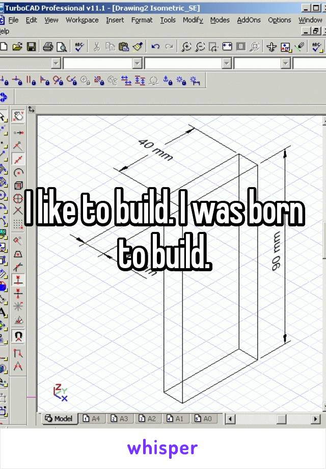 I like to build. I was born to build.