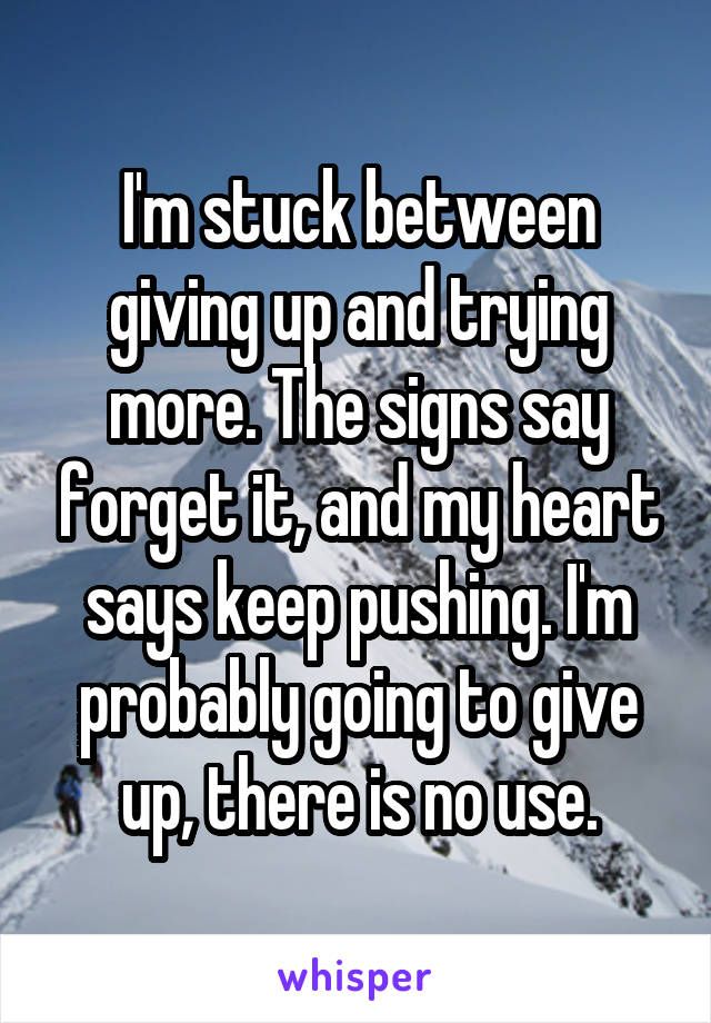 I'm stuck between giving up and trying more. The signs say forget it, and my heart says keep pushing. I'm probably going to give up, there is no use.