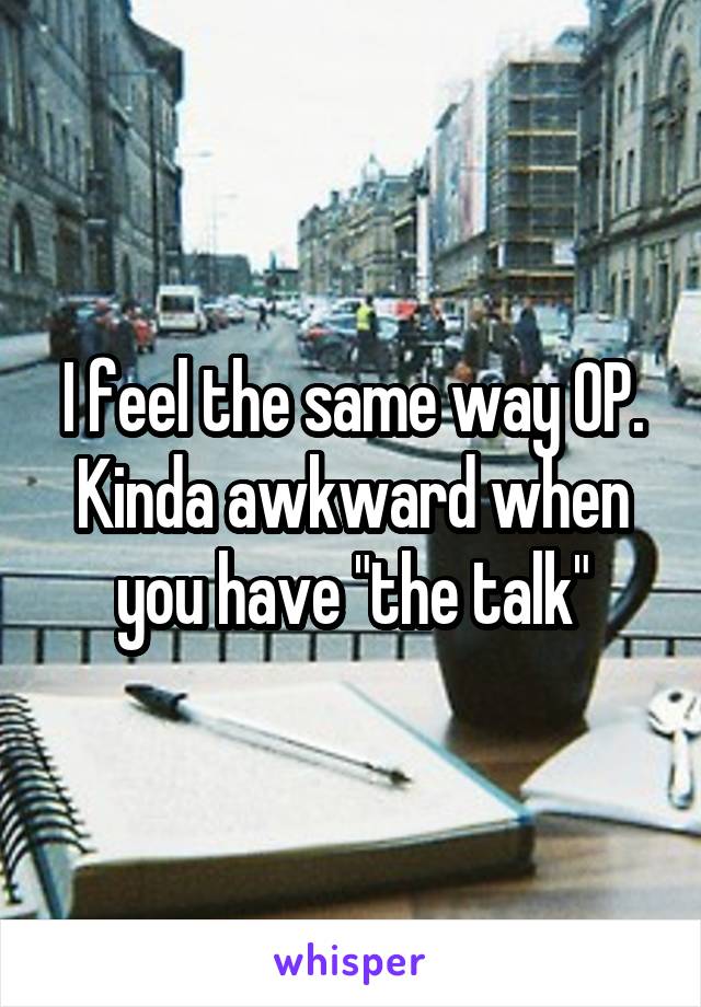 I feel the same way OP. Kinda awkward when you have "the talk"