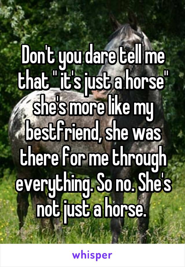 Don't you dare tell me that " it's just a horse" she's more like my bestfriend, she was there for me through everything. So no. She's not just a horse. 