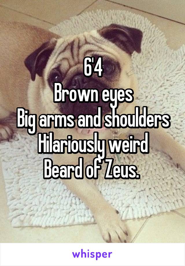 6'4
Brown eyes
Big arms and shoulders
Hilariously weird
Beard of Zeus. 
