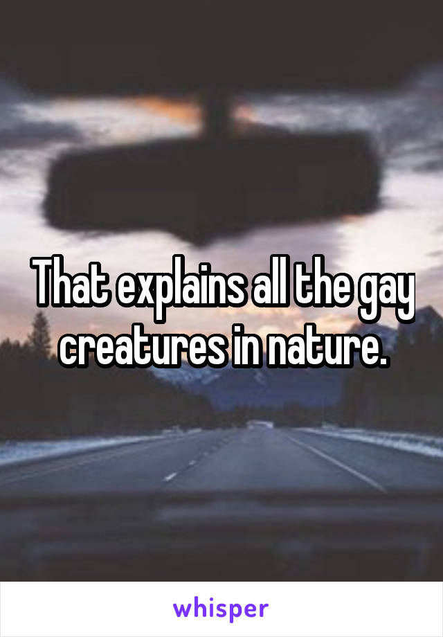 That explains all the gay creatures in nature.