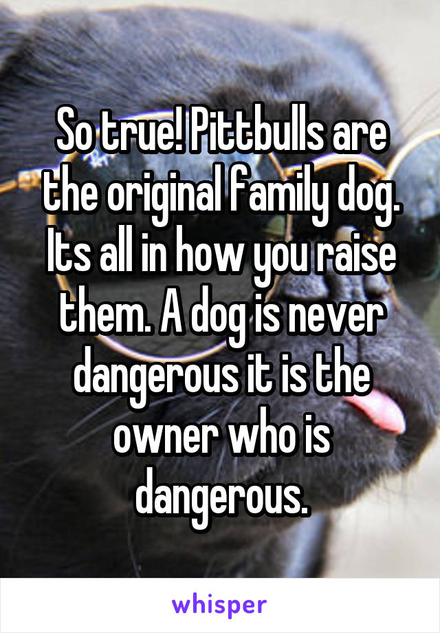So true! Pittbulls are the original family dog. Its all in how you raise them. A dog is never dangerous it is the owner who is dangerous.