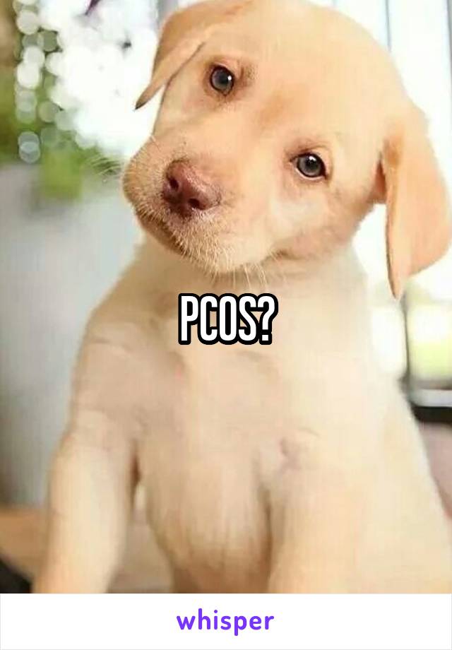 PCOS?