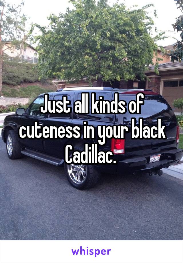 Just all kinds of cuteness in your black Cadillac. 