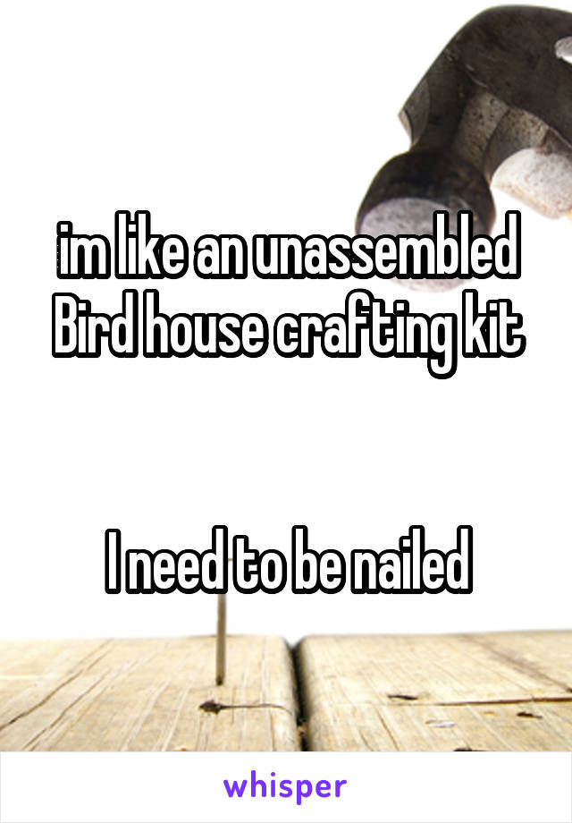 im like an unassembled Bird house crafting kit


I need to be nailed