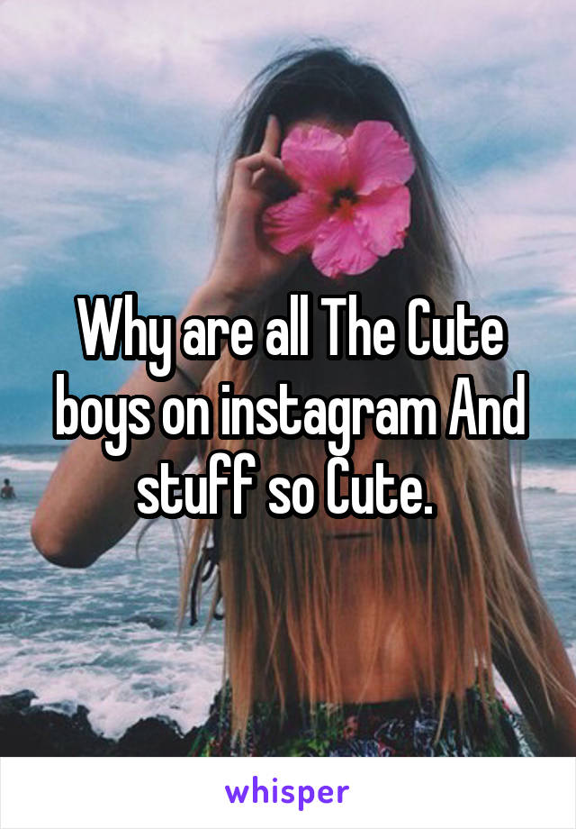 Why are all The Cute boys on instagram And stuff so Cute. 