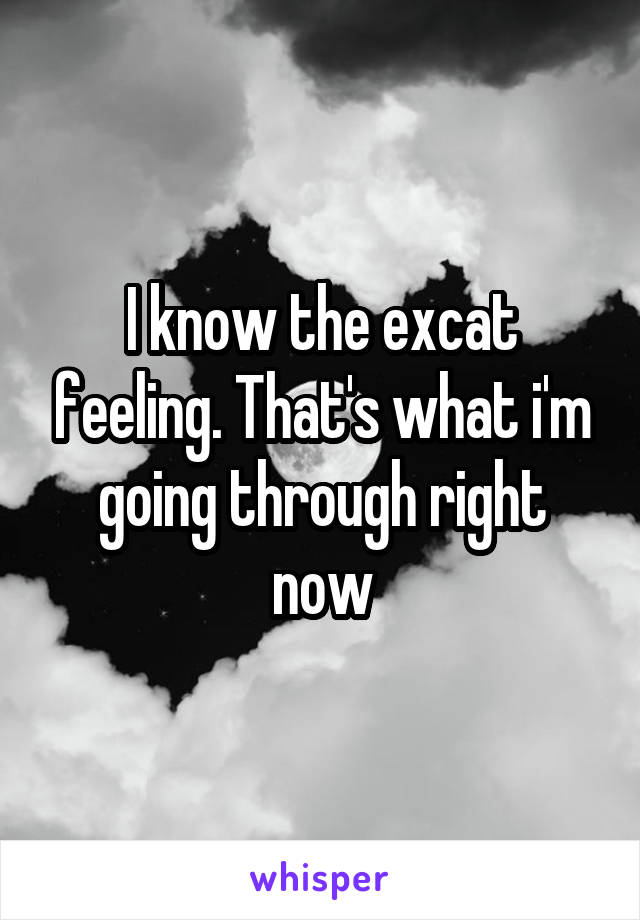 I know the excat feeling. That's what i'm going through right now