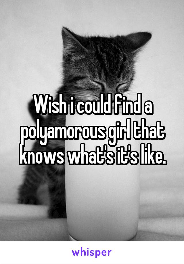 Wish i could find a polyamorous girl that knows what's it's like.