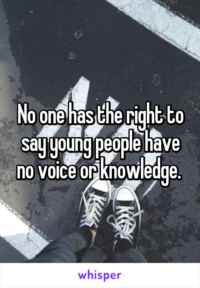 No one has the right to say young people have no voice or knowledge. 