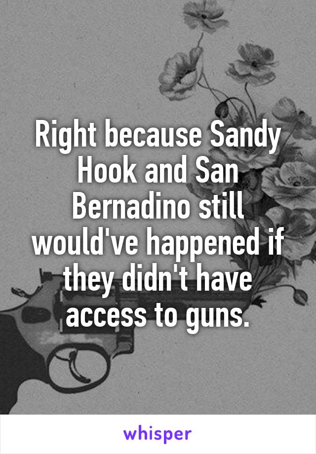 Right because Sandy Hook and San Bernadino still would've happened if they didn't have access to guns.
