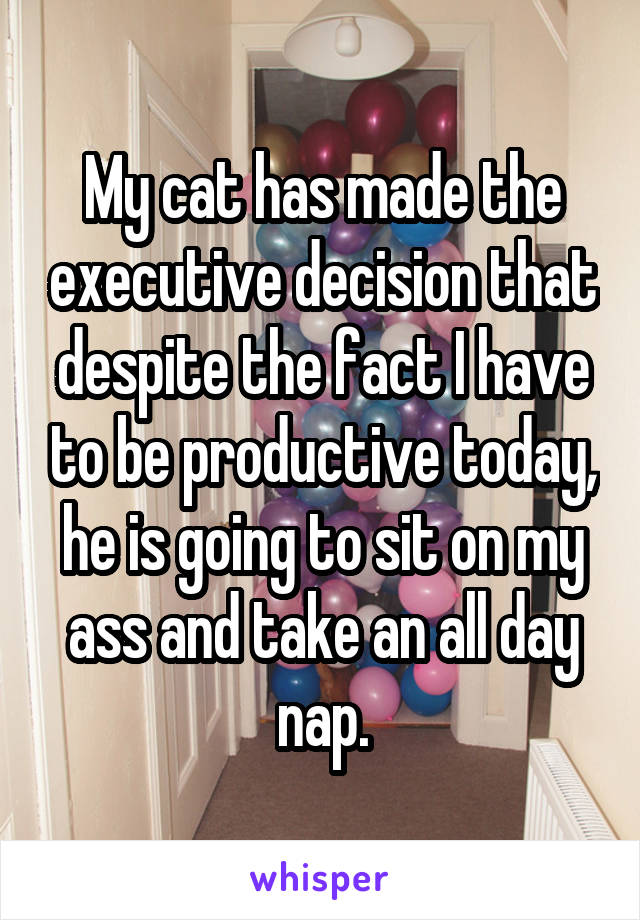 My cat has made the executive decision that despite the fact I have to be productive today, he is going to sit on my ass and take an all day nap.