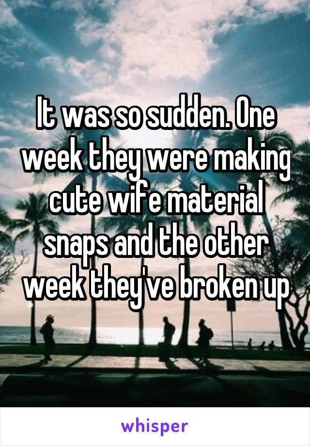 It was so sudden. One week they were making cute wife material snaps and the other week they've broken up 