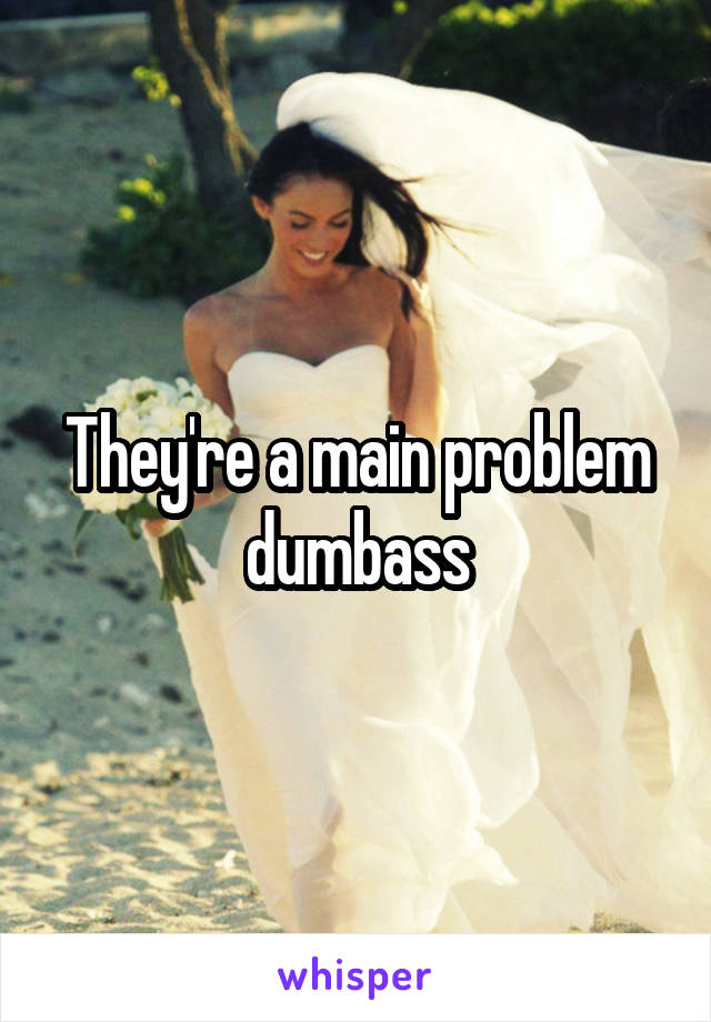 They're a main problem dumbass