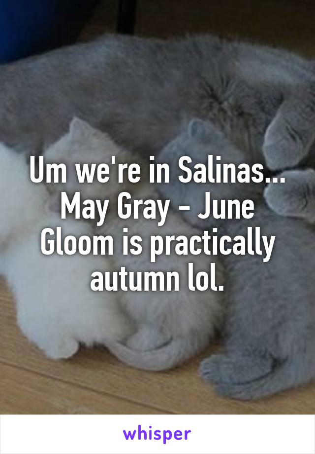 Um we're in Salinas... May Gray - June Gloom is practically autumn lol.