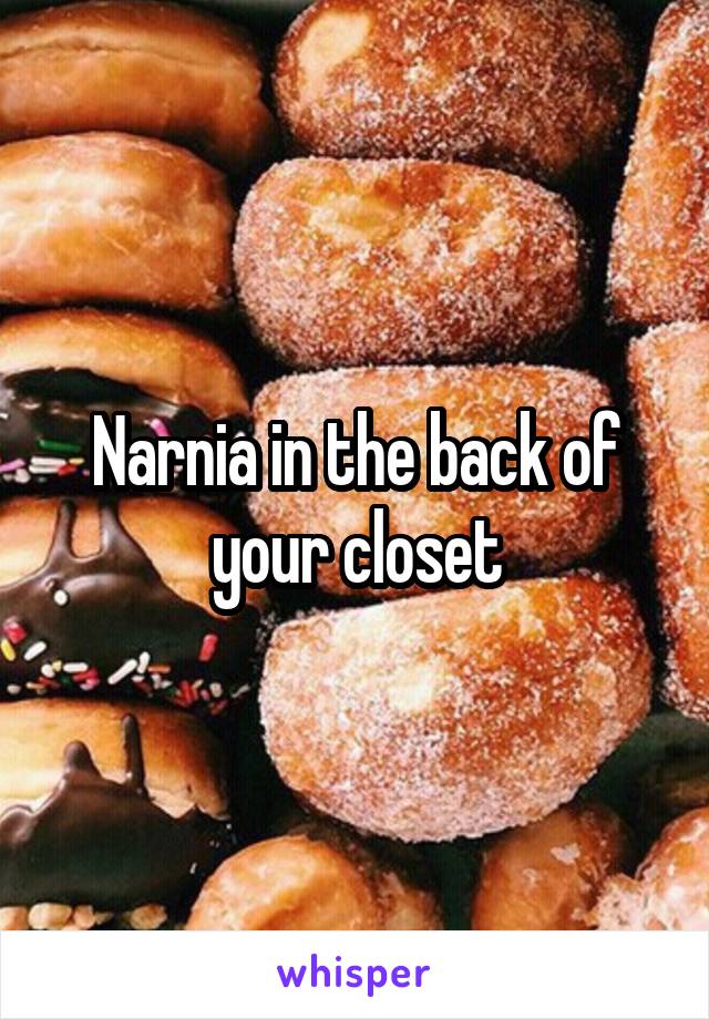 Narnia in the back of your closet