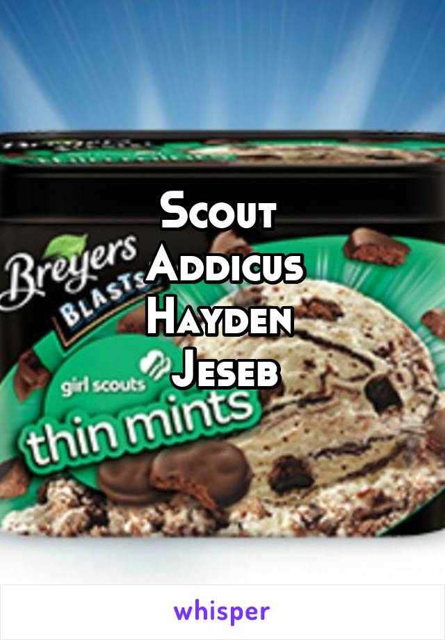 Scout 
Addicus
Hayden 
Jeseb
