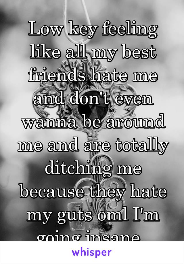 Low key feeling like all my best friends hate me and don't even wanna be around me and are totally ditching me because they hate my guts oml I'm going insane. 