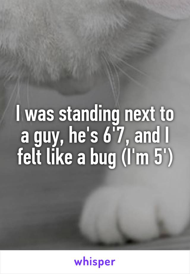 I was standing next to a guy, he's 6'7, and I felt like a bug (I'm 5')