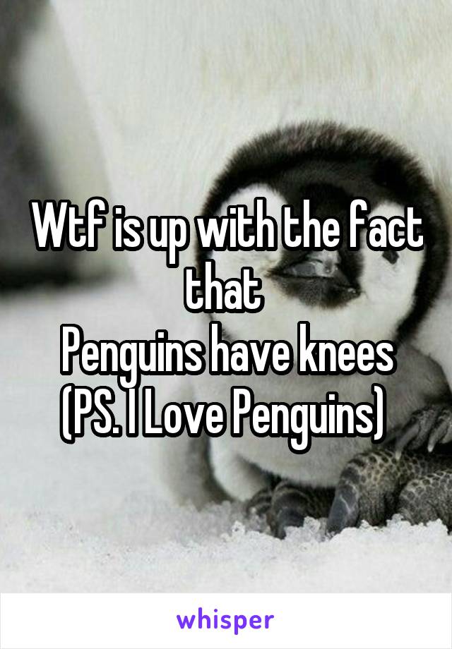 Wtf is up with the fact that 
Penguins have knees
(PS. I Love Penguins) 