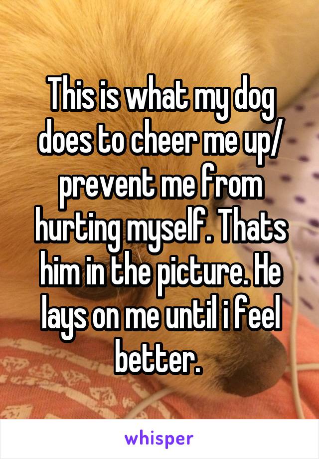 This is what my dog does to cheer me up/ prevent me from hurting myself. Thats him in the picture. He lays on me until i feel better. 