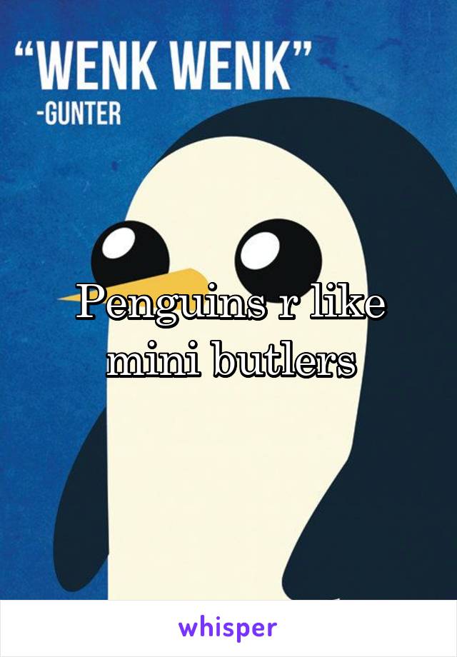 Penguins r like mini butlers