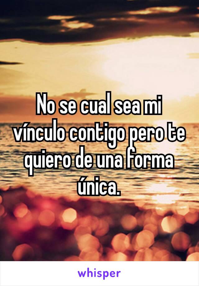 No se cual sea mi vínculo contigo pero te quiero de una forma única.