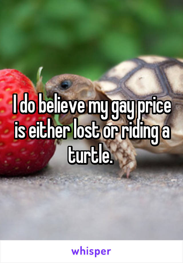 I do believe my gay price is either lost or riding a turtle. 