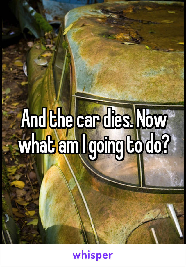 And the car dies. Now what am I going to do?