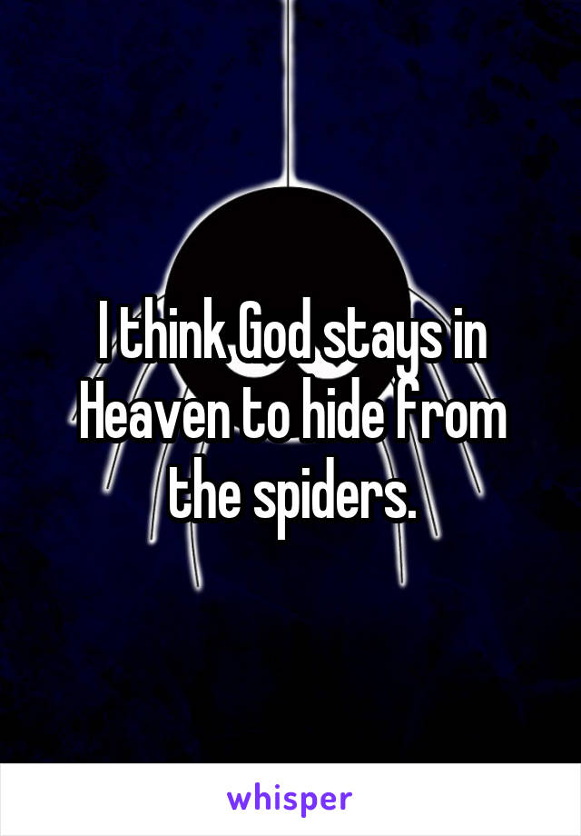 I think God stays in Heaven to hide from the spiders.