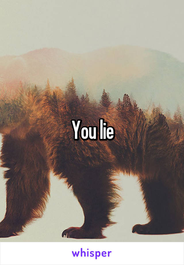 You lie