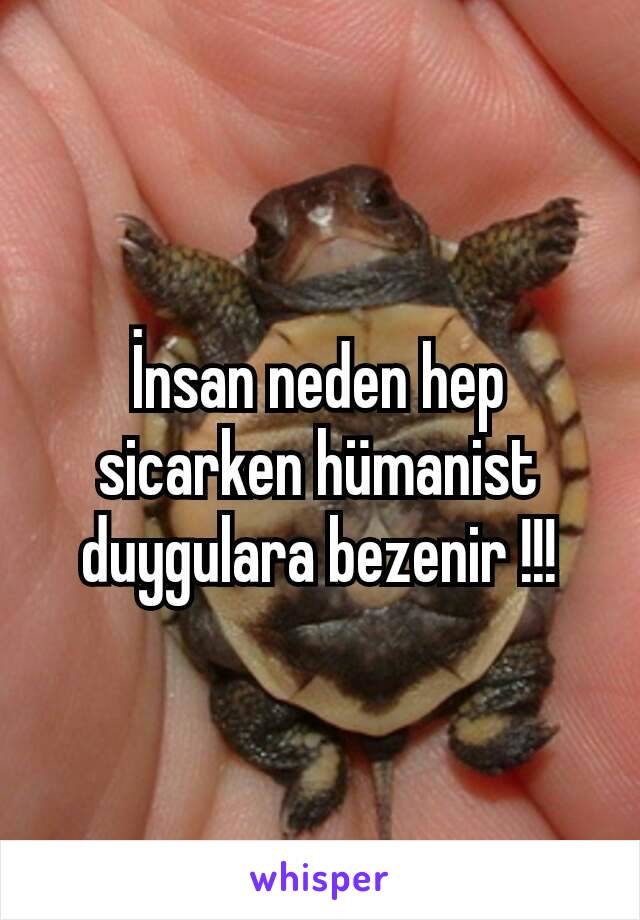 İnsan neden hep sicarken hümanist duygulara bezenir !!!