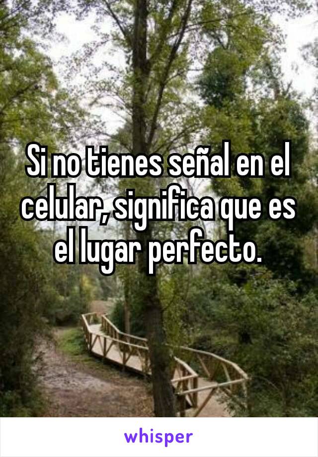 Si no tienes señal en el celular, significa que es el lugar perfecto.