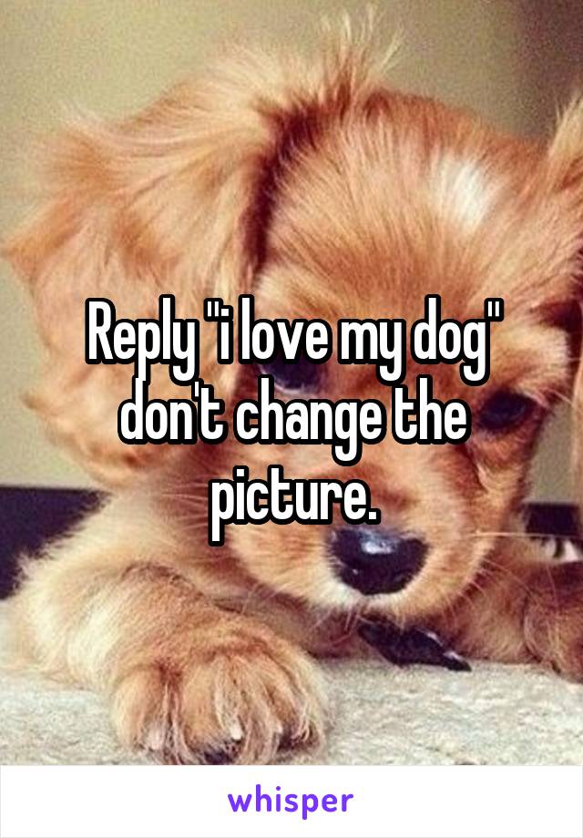 Reply "i love my dog" don't change the picture.