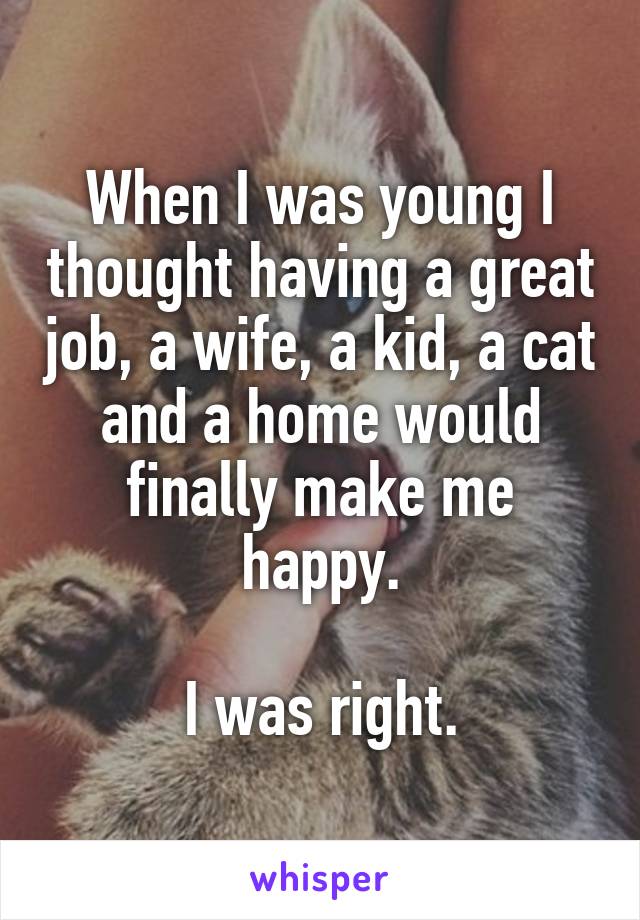 When I was young I thought having a great job, a wife, a kid, a cat and a home would finally make me happy.

I was right.