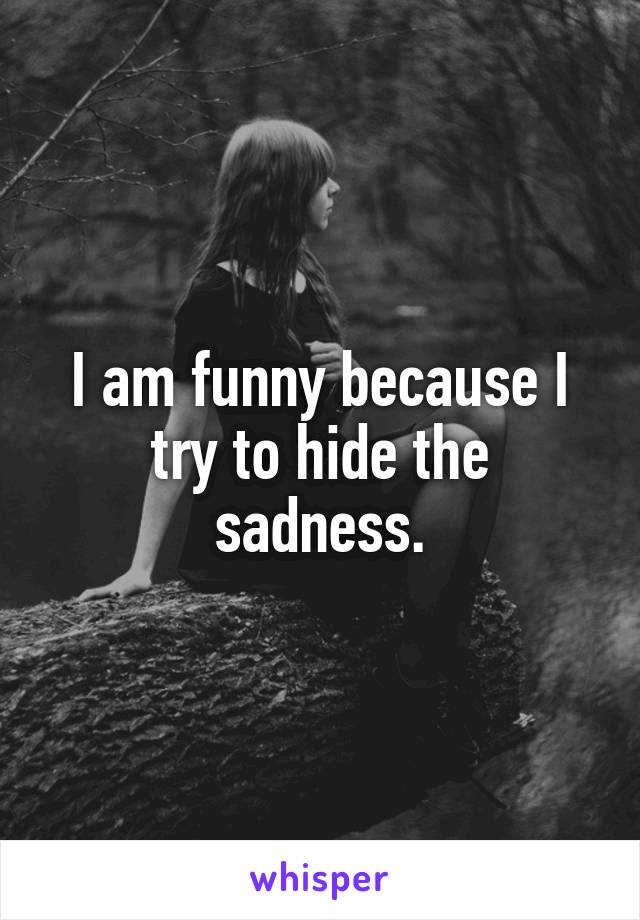 I am funny because I try to hide the sadness.