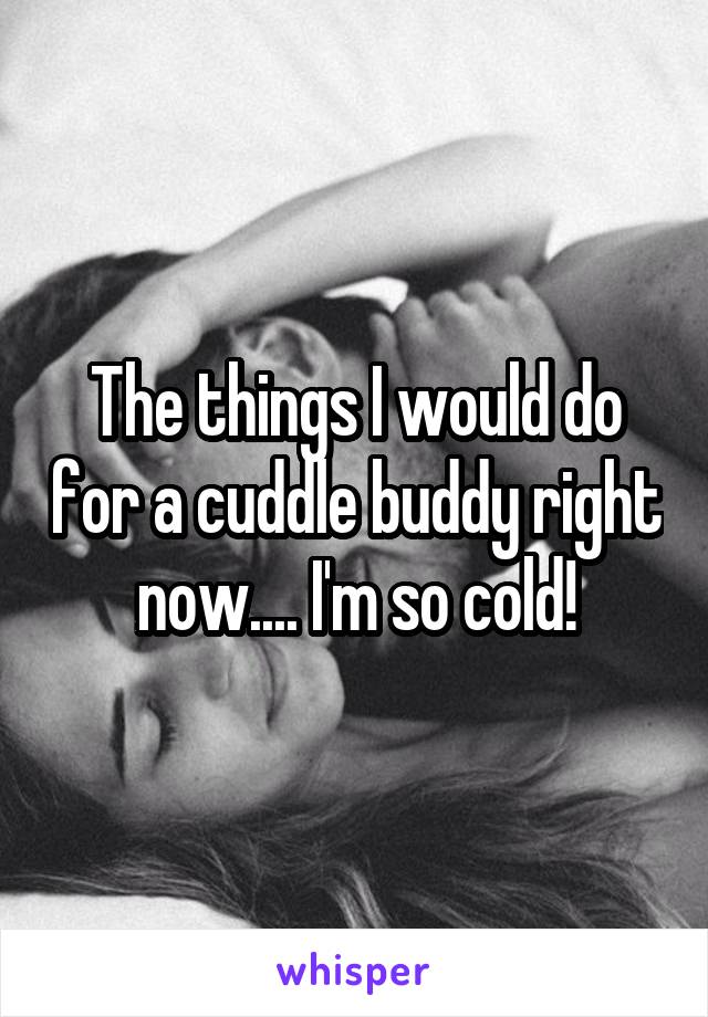 The things I would do for a cuddle buddy right now.... I'm so cold!