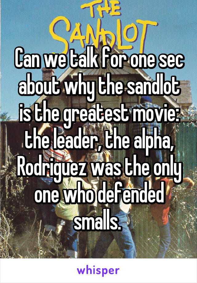 Can we talk for one sec about why the sandlot is the greatest movie: the leader, the alpha, Rodriguez was the only one who defended smalls. 