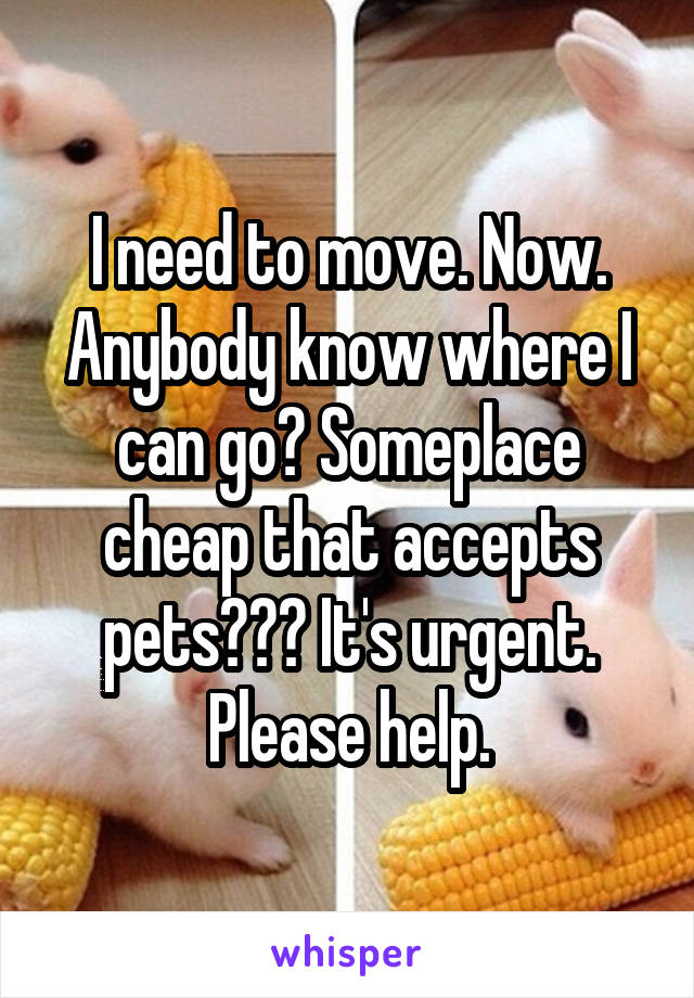 I need to move. Now. Anybody know where I can go? Someplace cheap that accepts pets??? It's urgent. Please help.