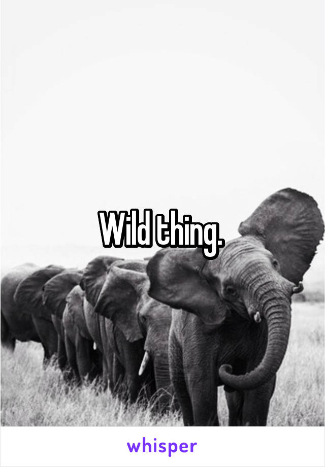 Wild thing. 