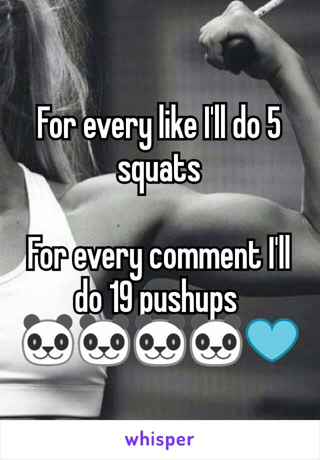 For every like I'll do 5 squats

For every comment I'll do 19 pushups 
🐼🐼🐼🐼💙