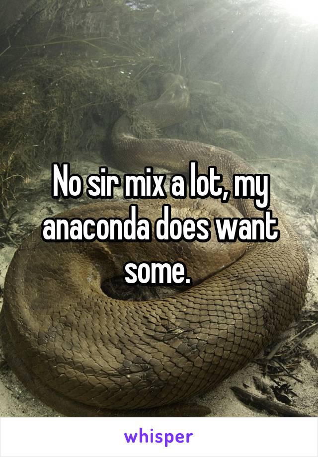 No sir mix a lot, my anaconda does want some. 