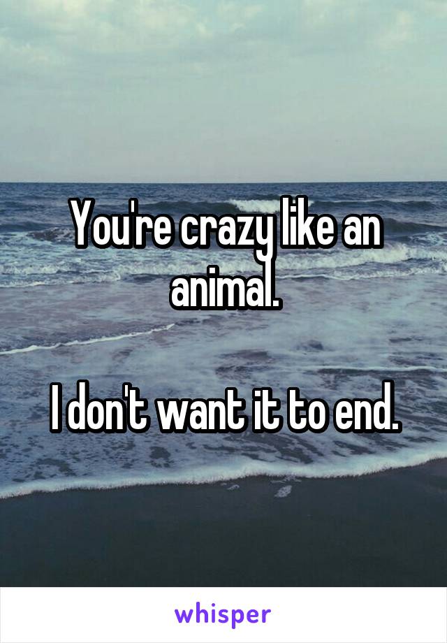 You're crazy like an animal.

I don't want it to end.