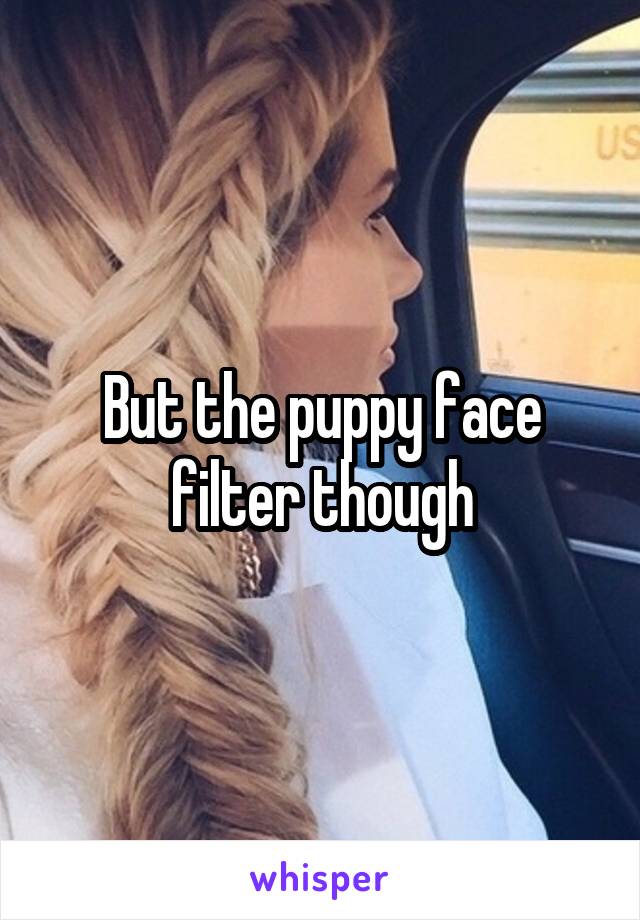 But the puppy face filter though