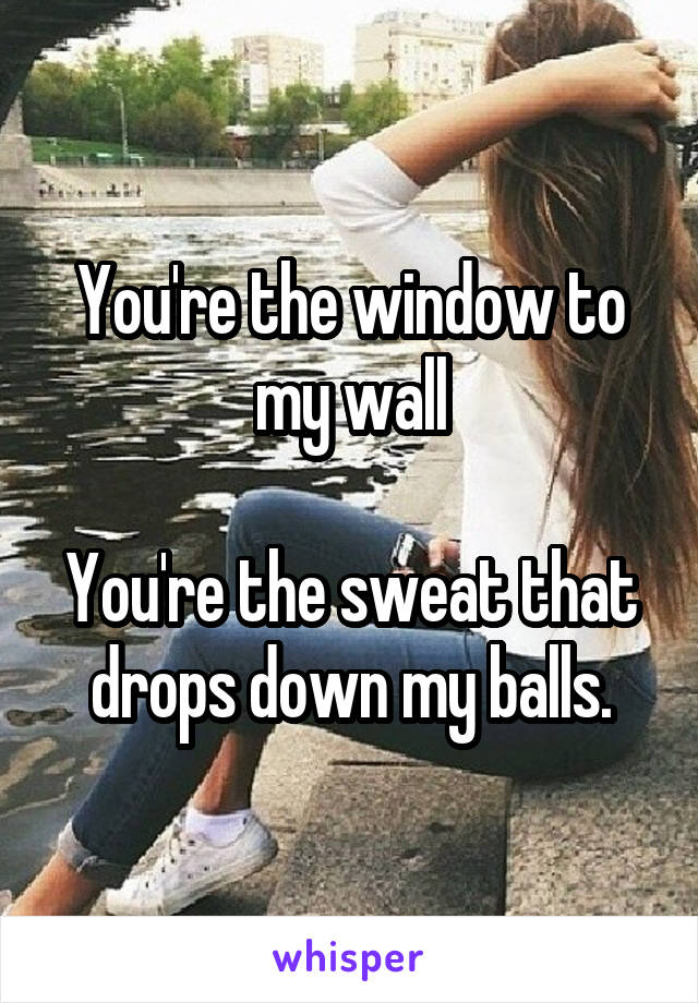 You're the window to my wall

You're the sweat that drops down my balls.