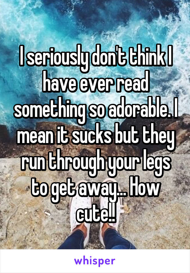 I seriously don't think I have ever read something so adorable. I mean it sucks but they run through your legs to get away... How cute!!