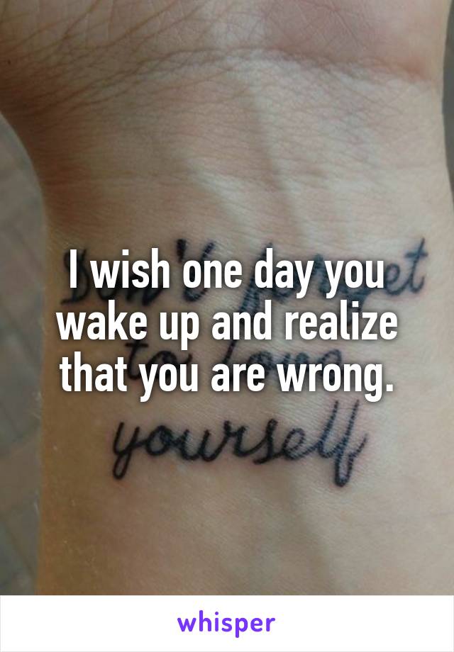 I wish one day you wake up and realize that you are wrong.